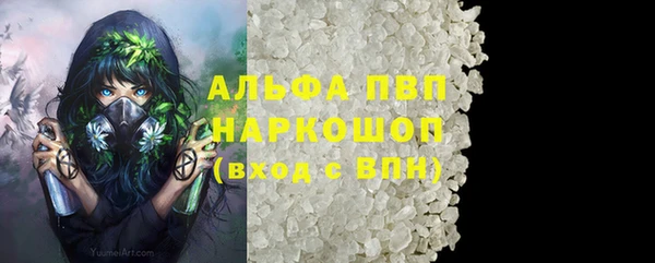 PSILOCYBIN Богородицк
