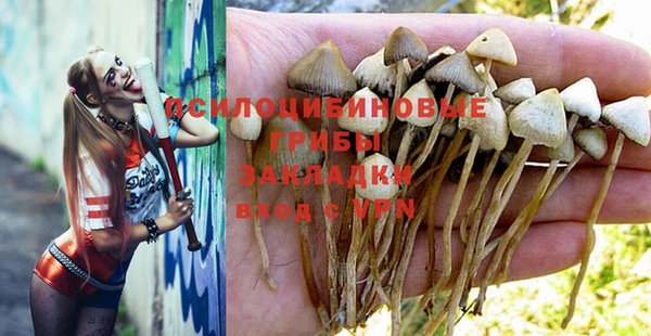 кокаин колумбия Богданович