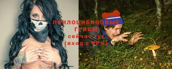 PSILOCYBIN Богородицк