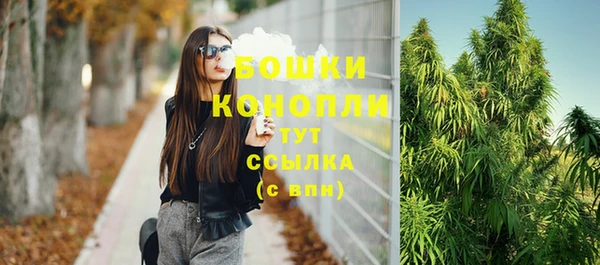 шишки Богородск